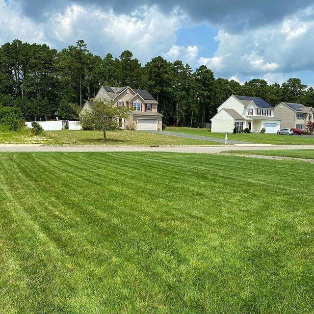 Perfect Grass Stripes